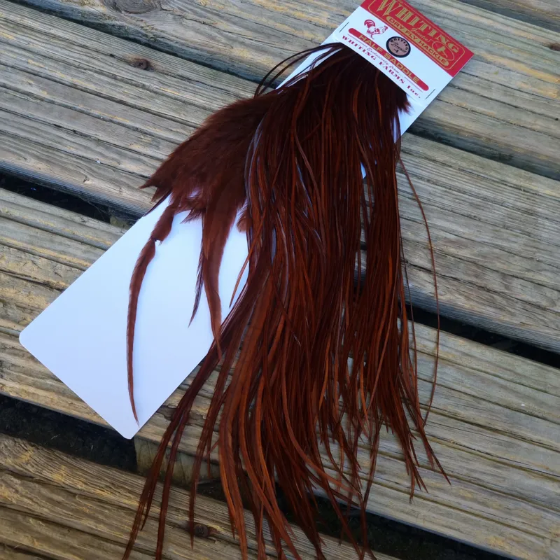 Whiting 1/2 BRONZE Grade Dry Fly Rooster Saddle in Coachman Brown-1